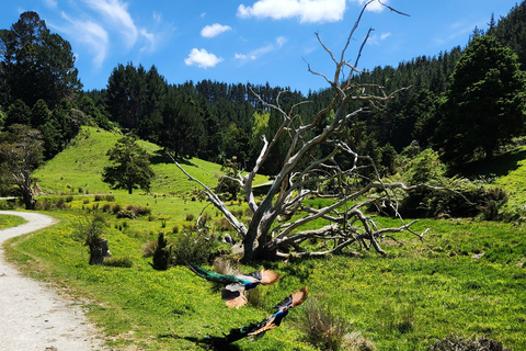 Auckland: Honey Center, Horse Riding & Sheep World Tour