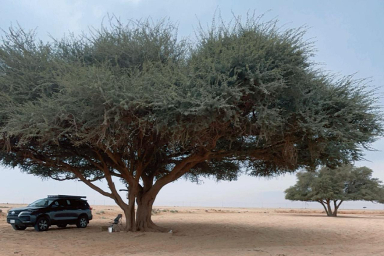 Riyadh: 2-day tour of 5 heritage villages and a safari trip