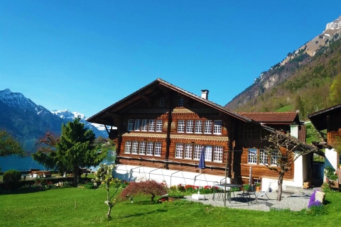 Desde Zúrich: excursión de un día a Interlaken