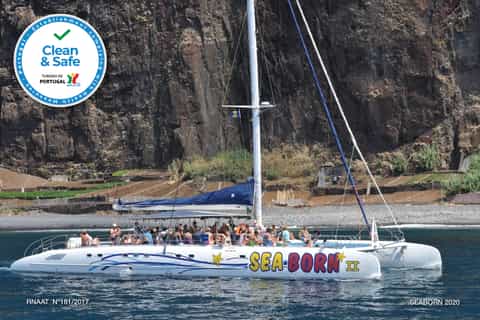 Funchal: Catamaran Dolphin and Whale Watching