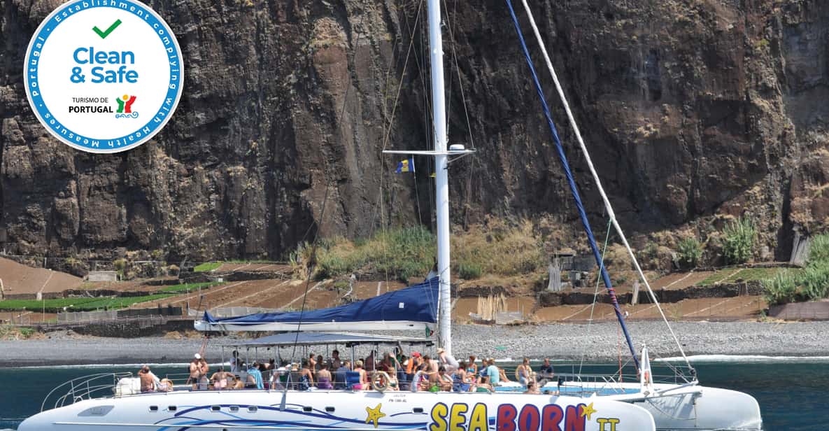 Funchal: Catamaran Dolphin and Whale Watching