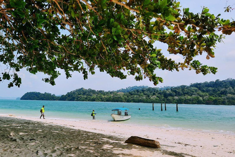 Langkawi: 3 Hours Private Mangrove Kilim Geoforest Boat Tour