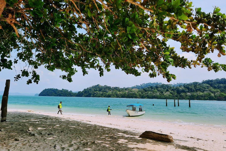 Langkawi: 3 Hours Private Mangrove Kilim Geoforest Boat Tour