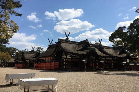 Osaka: En heldags Privat dagsutflykt med guidad stadsvandring i den historiska staden