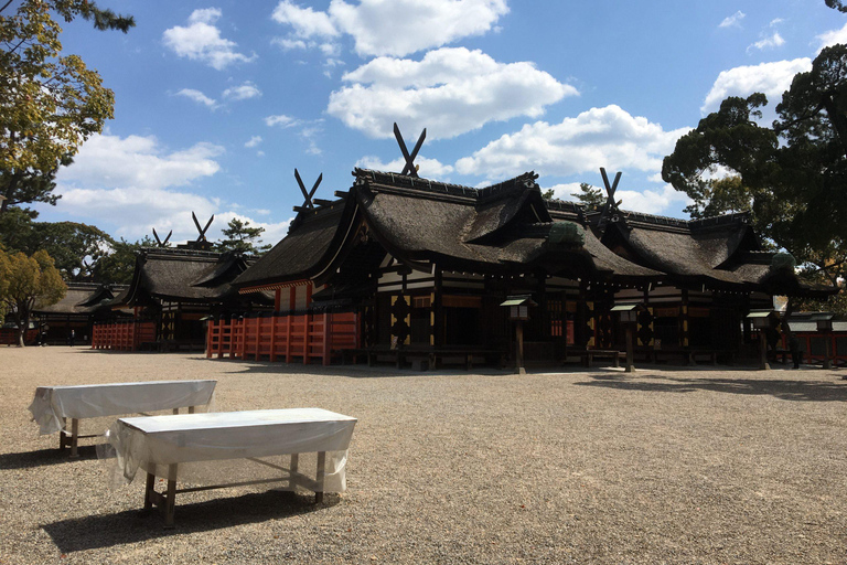 Osaka: En heldags Privat dagsutflykt med guidad stadsvandring i den historiska staden