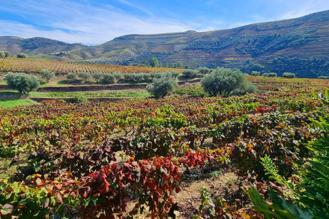 Porto: Dolina Douro: autentyczne doświadczenie wina z lunchemWycieczka z przewodnikiem w języku angielskim z odbiorem