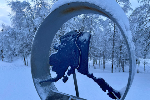 Fairbanks: Arctic Circle Tour with Northern Lights Hunt