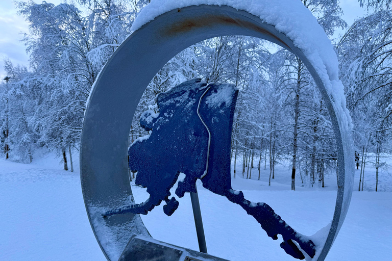 Fairbanks: Arctic Circle Tour with Northern Lights Hunt