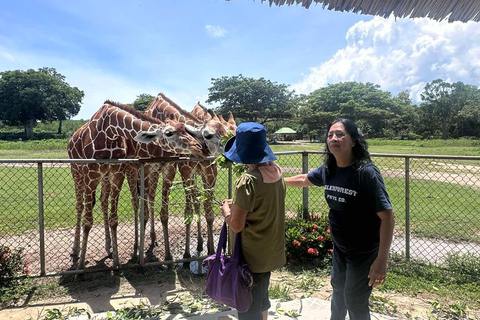 Coron; Calauit Safari Black Island Lunch &amp; Transfer inbegrepen