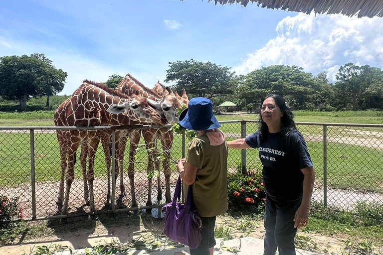 Coron; Calauit Safari Isla Negra Almuerzo y traslado incluidos