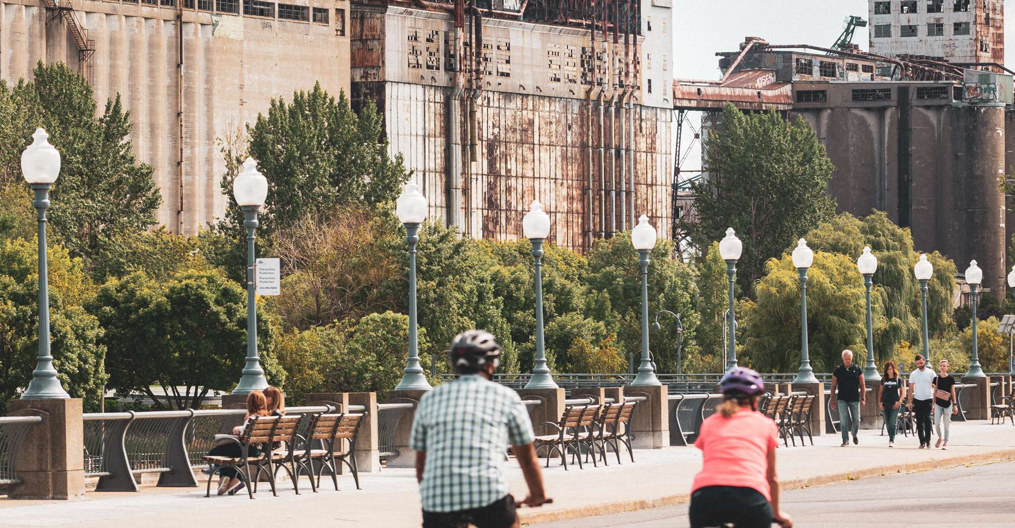Montreal: Old Montreal Guided Walking Tour photo 6