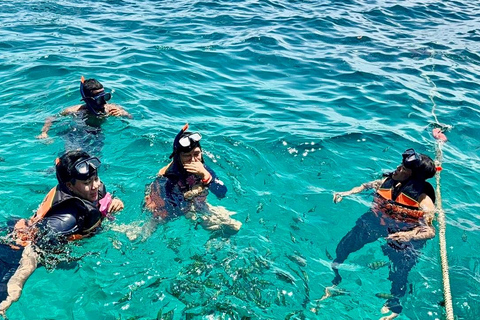 Krabi: Phi Phi Day Tour for First-Time Visitors + Pickup