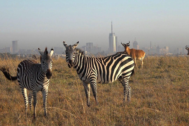 Game drive in Nairobi National Park met gratis halen en brengen