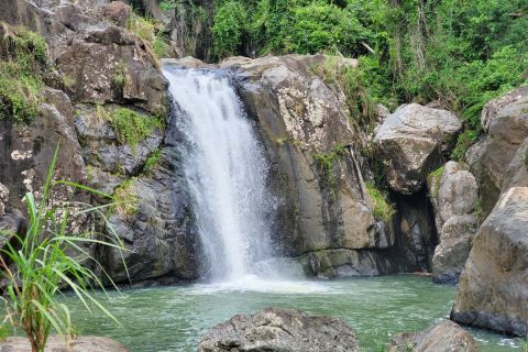 Da San Juan: escursione alla cascata di El Yunque e salto dalla scogliera