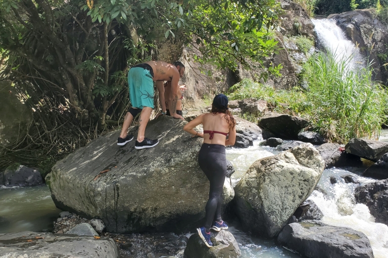 De San Juan: randonnée à la cascade El Yunque et saut de falaise