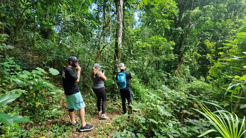 From San Juan: El Yunque Waterfall Hiking and Cliff Jumping | GetYourGuide