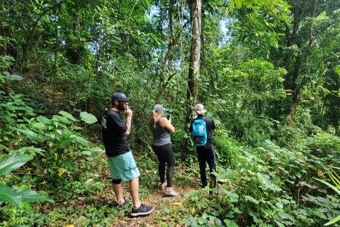 Desde San Juan: caminata por la cascada El Yunque y salto desde acantilados