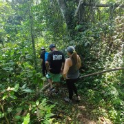Da San Juan: escursione alla cascata di El Yunque e salto dalla scogliera