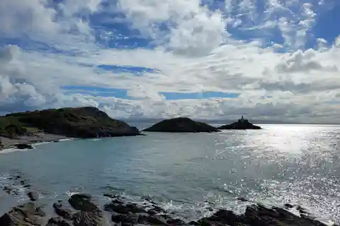 From Cardiff: The Wandering Bard's Swansea Bay Day Tour