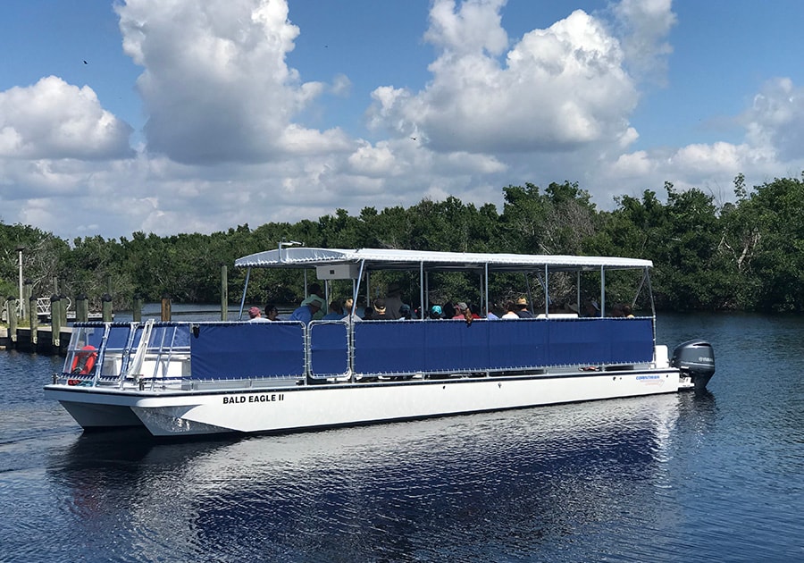 Flamingo Marina: Backcountry Boat Tour of the Everglades | GetYourGuide