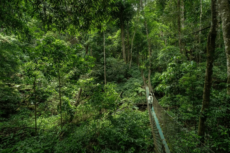 Muang Xay: 3-Day Oudomxay, Nongkho, & Luang Prabang Tour