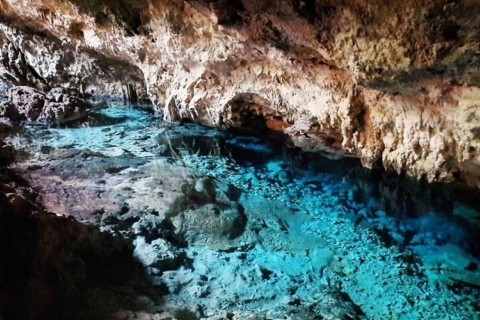Excursión con delfines, Cueva de Ngonga, Cueva de Kuza, Laguna Azul, La Roca