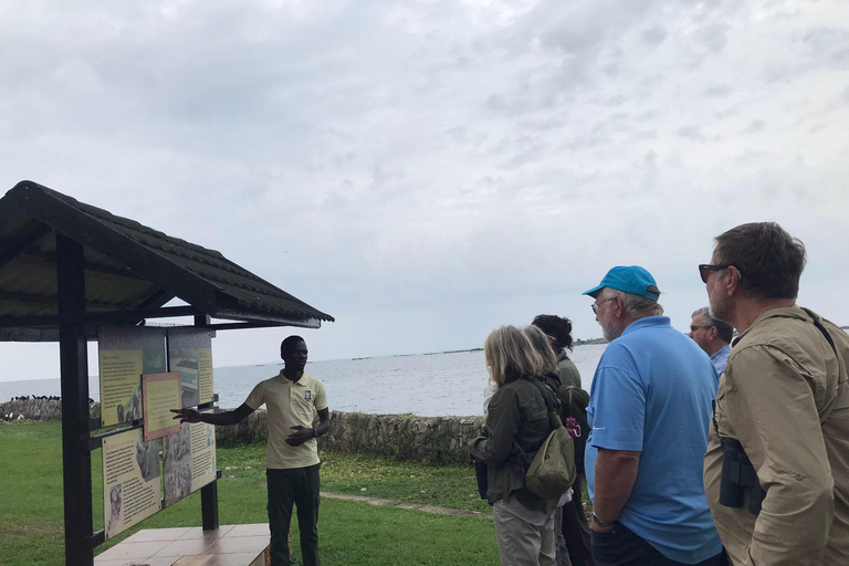 Ngamba Island Chimpanzee, Entebbe and Victoria Tour