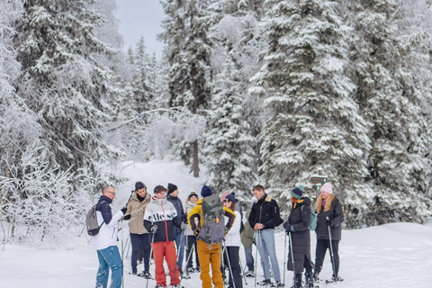 Da Oslo: Tour guidato con le racchette da neve nella foresta di OslomarkaDa Oslo: tour guidato con racchette da neve nella foresta di Oslomarka