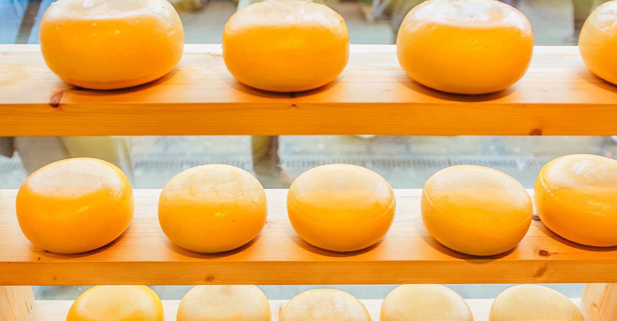 Amsterdam: Premium Henri Willig Cheese Tasting Experience photo 7