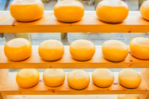 Amsterdam: Cheese Tasting by Henri Willig with Wine