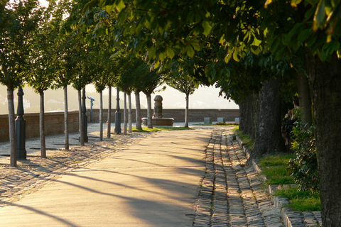 Budapest: Tour a piedi del quartiere del castelloBudapest: Tour a piedi di benvenuto nel quartiere del Castello