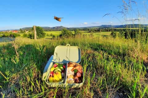 Saxon Switzerland: Hike and Picnic with Local Produce