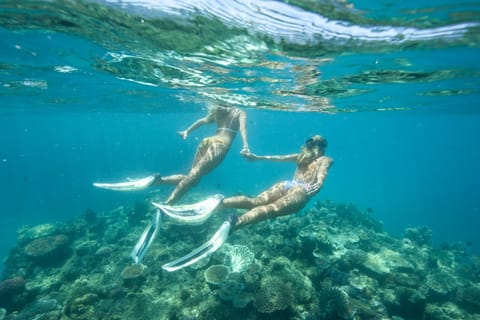 Museum Of Underwater Art & Great Barrier Reef Day Trip