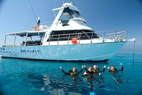 Museum Of Underwater Art & Great Barrier Reef Day Trip - Housity