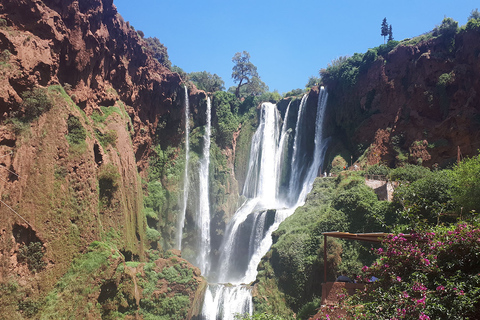 De Marrakech: Excursão de dia inteiro às Cataratas de Ouzoud com passeio de barcoExcursão Compartilhada