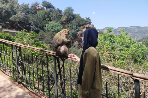 Depuis Marrakech : excursion d'1 journée aux chutes d'OuzoudVisite en groupe