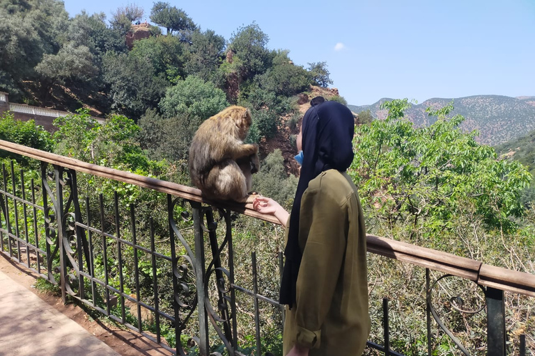 Från Marrakech: Heldagstur till Ouzoud Falls med båtturFrån Marrakesh: Delad tur