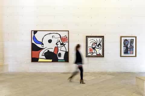 Mallorca : Miró Foundation Entrance Ticket