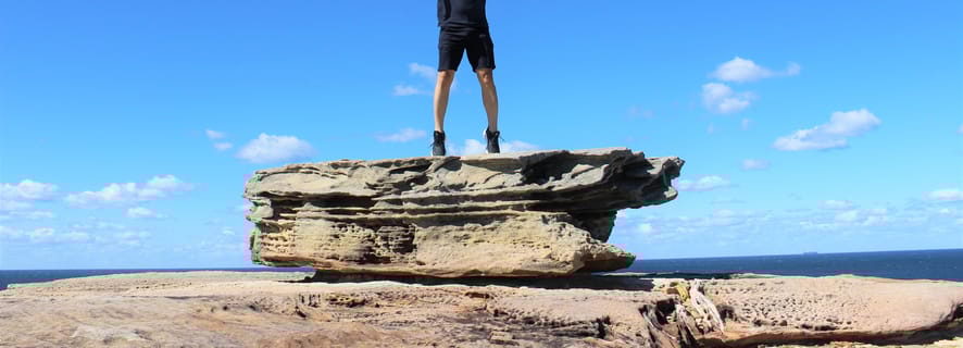 De Sydney: excursão particular de um dia ao Royal National Park