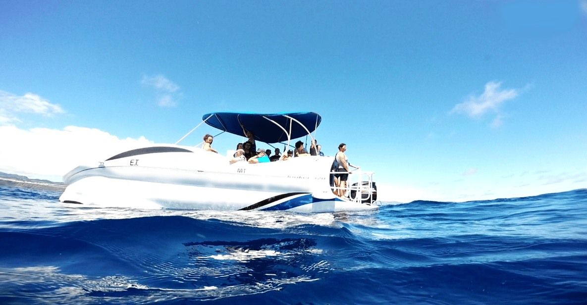 São Miguel: Glass Bottom Boat Tour with Snorkeling