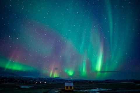 Reykjavik: Prywatna wycieczka po zorzy polarnej minibusemZwiedzanie Northern Lights przez Minibus