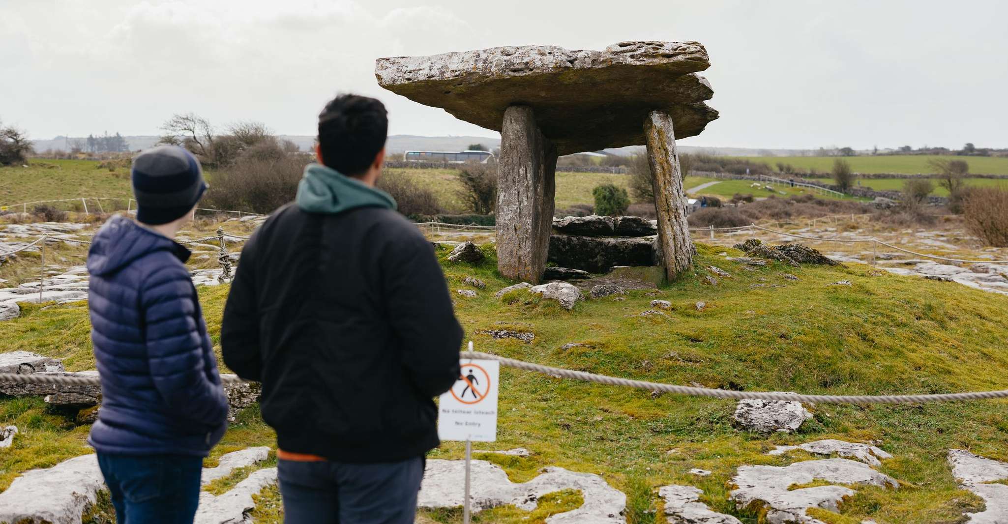 From Galway: Cliffs of Moher and The Burren Guided Day Trip photo 8