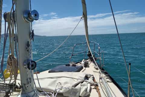 Townsville: Morning or Lunchtime Small-Group Sailing Trip