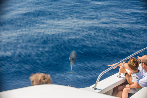 Von Lefkimmi aus: Paxos, Antipaxos &amp; Blaue Höhlen Speedboat Tour