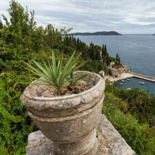 Dubrovnik: Game of Thrones Full-Day Private Tour
