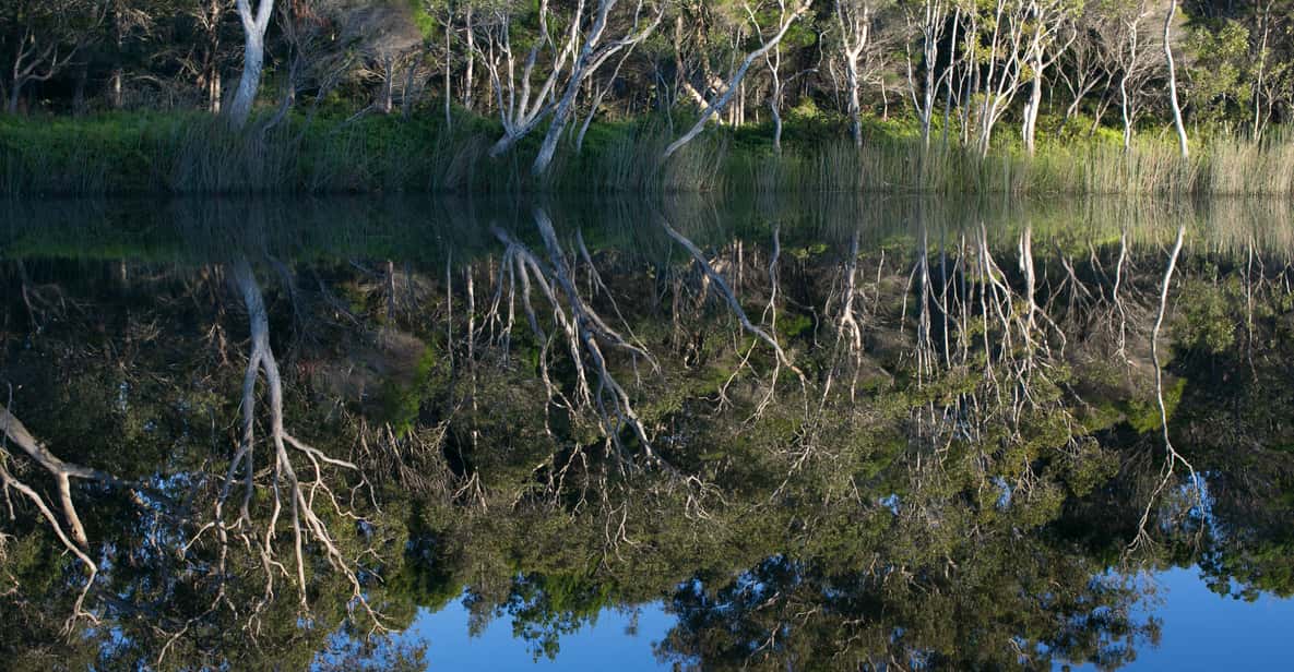 Noosa: Everglades Safari Day Cruise