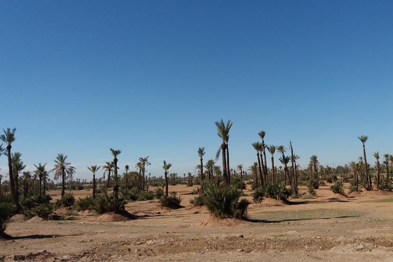 Marrakech : expérience en buggy à la Palmeraie avec prise en charge à l'hôtel