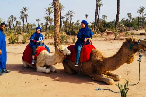 Palmeraie di Marrakech: giro in cammello e quad