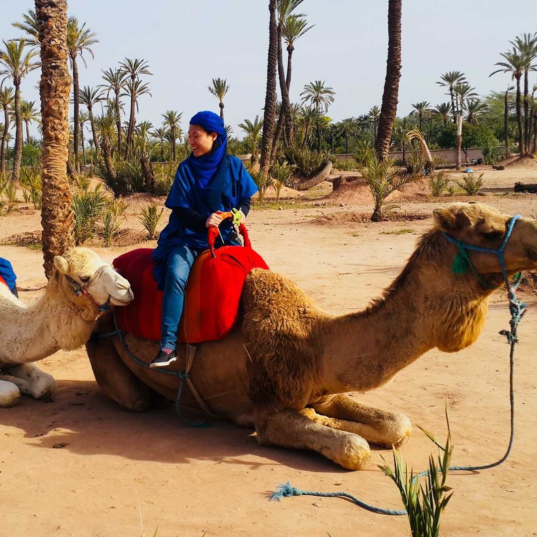 Palmeraie de Marrakech : balade à dos de chameau et expérience en quad - quad