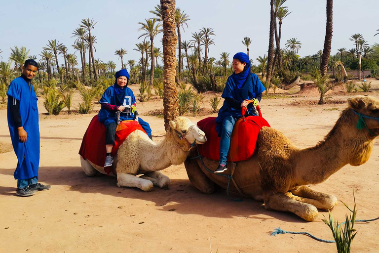 Palmeraie de Marrakech : balade en chameau et quad